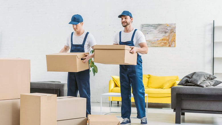 Hollanda Eşya Taşımacılığı